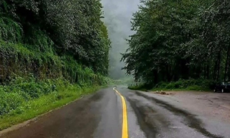 رزرو باغ ویلای جنگلی با آلاچیق دربست روبه رودخانه