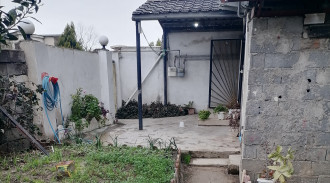 اجاره ویلا دو خوابه جنگلی