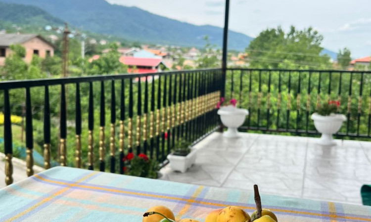 رزرو ویلای دو خوابه روستای رو به جنگل