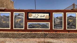 حجز قصر Timre التقليدي وحدة 1 مع وجبة الإفطار