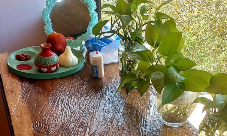 اجاره کلبه چوبی دوبلکس صنوبر