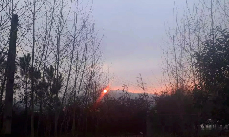 اجاره کلبه چوبی دوبلکس صنوبر