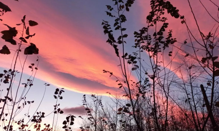 اجاره کلبه چوبی دوبلکس صنوبر