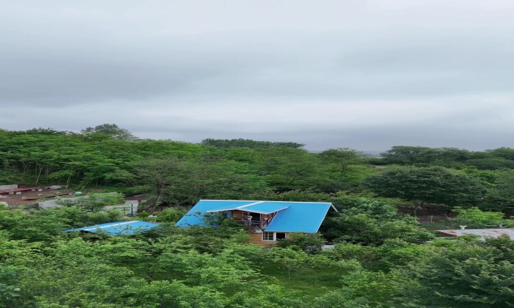 احجز كوخ غابة دوبلكس بغرفة نوم واحدة في أراد في ماسال