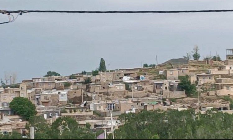 رزرو بوم گردی بلقیس واحد 3 چهار تخته