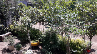 اجاره ویلا دو خوابه فرهانا