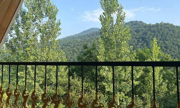رزرو کلبه دو خوابه جنگلی راش