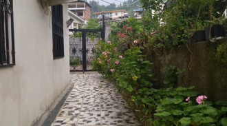 اجاره آپارتمان دو خوابه جنگلی طبقه اول