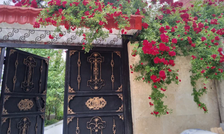 اجاره ویلای دوبلکس 60 متری سه خواب ارغوان