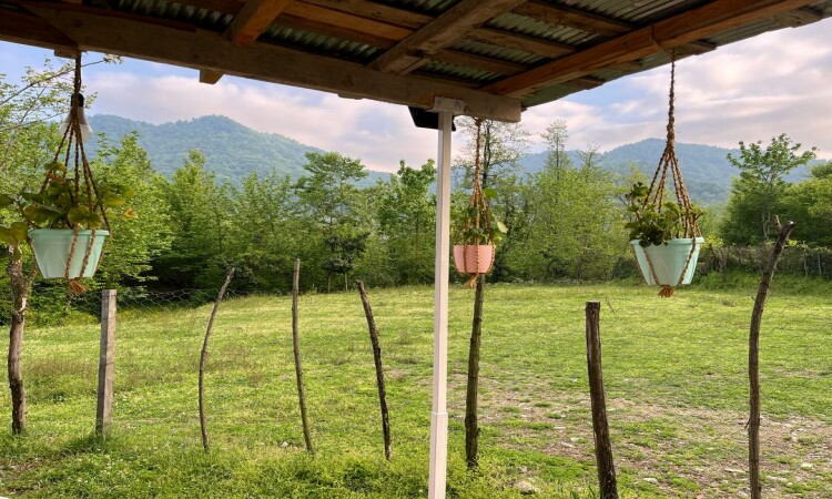 ویلا در دل باغ چای