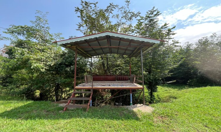 ویلا در دل باغ چای