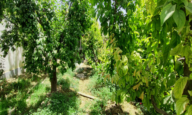 حجز فيلا غرفتين نوم مع الماء الساخن الداخلي