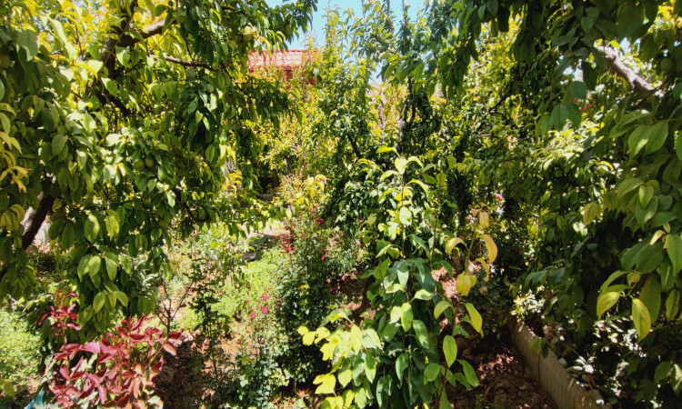 حجز فيلا غرفتين نوم مع الماء الساخن الداخلي