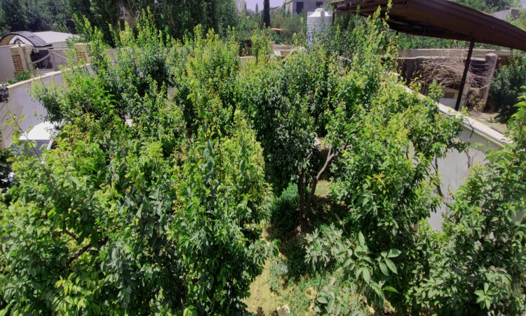 حجز فيلا غرفتين نوم مع الماء الساخن الداخلي