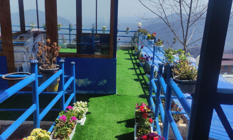 اجاره ویلا سنتی جنگلی یالمنگ