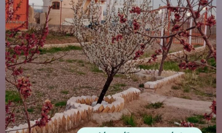اجاره باغ ویلا آرام و دلنشین و امن